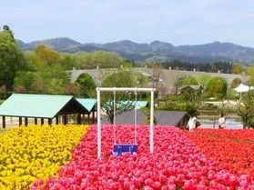 【国営越後丘陵公園】<br>🌷チューリップまつり開催🌷