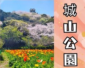 お花見はいかが?【 城山公園 】