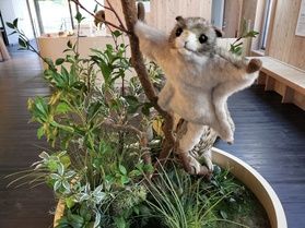 インフォメーションセンターが新しくなりました!