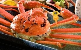 春でもまだ越前がに、食べられます