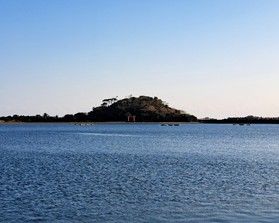 希少な動植物が見られる孔島・鈴島