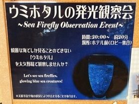 大久野島で『フリーイベント』に注目!