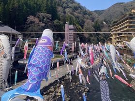 杖立温泉鯉のぼり祭り🐟