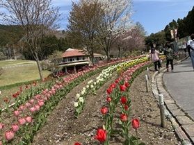 必見!!ファミリーでエンジョイ♪