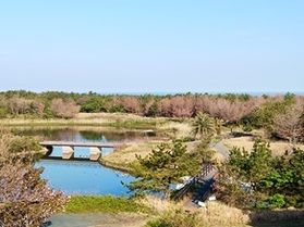 広大な園地内の自然に癒され、季節の植物と出会うお散歩会