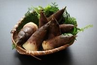 【春の息吹 旬の味覚】春の代表的な郷土料理「孟宗汁」