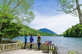 今年も開催!スタッフと行く奥日光ネイチャーハイキング♪