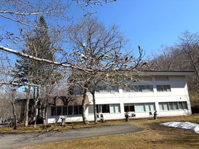 園地の『キタコブシ』が咲きました<br>支笏湖にも春到来♪