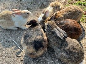 5/11~5/15はお得に泊まろう♪『オフピーク旅期間』