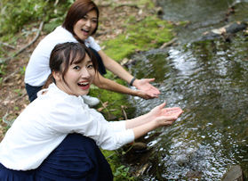 新緑が芽吹き始めたプレミアムな朝を…