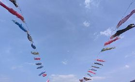 子供の日におススメ!100匹こいのぼり