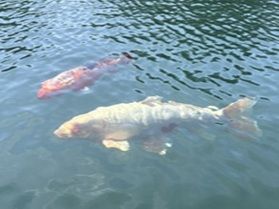 毘沙門沼に行ってきました
