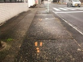 足跡に注目👣