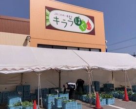 地元の旬の物食べよう！