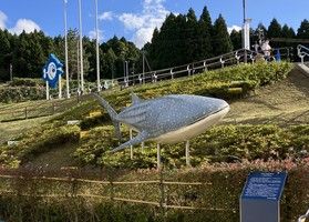 のとじま水族館　着々と工事が進んでいます！