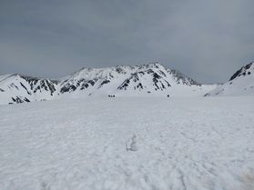 今年も雪の大谷ツアーご参加ありがとうございました！