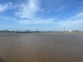 三国町も田植えが始まりました