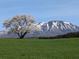 新緑の岩手へおでんせ（お越しください）