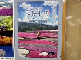 茶臼山高原芝桜まつり 間もなく開催!