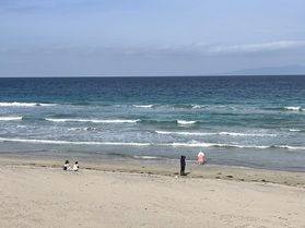 Shimoda beach