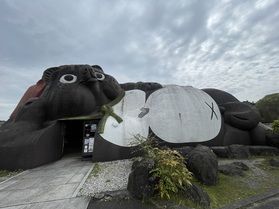 大きなタヌキ