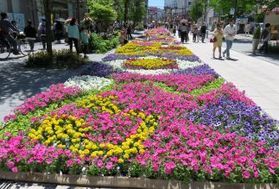GW何処に行こう♪