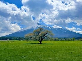 春の気配を感じる朝のひととき