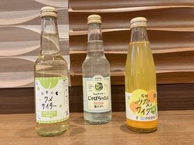 暑い日にぴったり♪ 和歌山ご当地サイダー