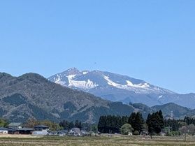秋田駒ケ岳の春に見られる『首振り馬』