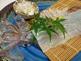 初夏の味覚”活き烏賊”　5月23日ご提供開始します♪