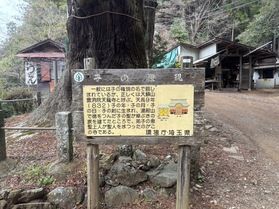 子ノ権現に行って来ました!