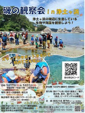 磯の観察会in浄土ヶ浜