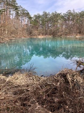 五色沼の一つ、赤沼について
