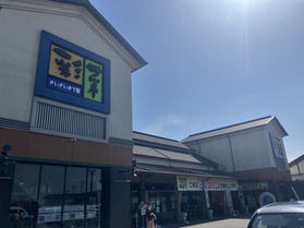 柑橘王国の愛媛県!おすすめ地元の産直市場
