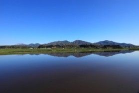 初夏だけの景色 逆さ蒜山