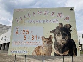 はしもとみお木彫展 いきものたちの旅