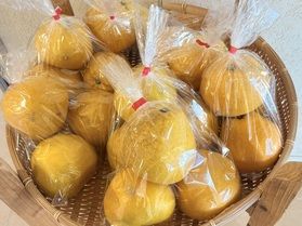 ジューシーのご紹介！！🍊