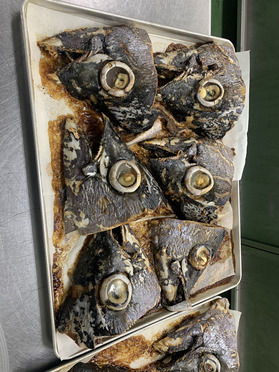 大迫力！ まぐろの兜焼き