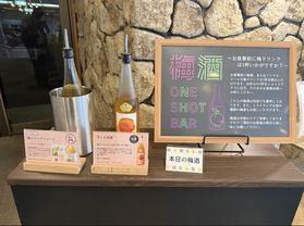 お食事前に梅は1杯いかがですかか?