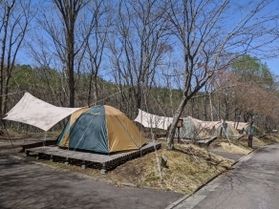 さわやかな高原のキャンプ！