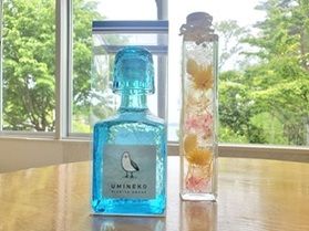菱屋「海音（うみねこ）」入荷しました！