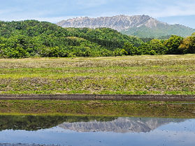 今だけの絶景