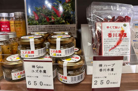 香川本鷹とユズ本鷹のおすすめ🌶️🍋
