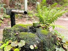 名水を巡る旅~愛知県豊根村・長野県飯田市へ~