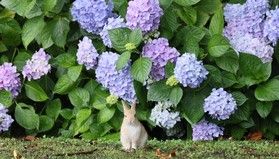 6/15~6/19はお得に泊まろう♪「オフピーク旅期間」