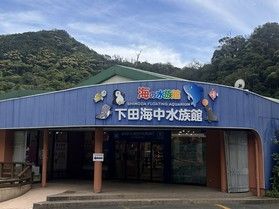 下田海中水族館に行ってきました。