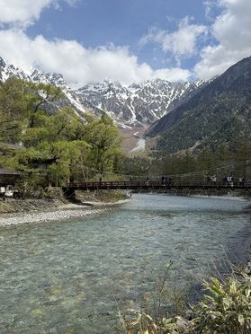 上高地のニリンソウ