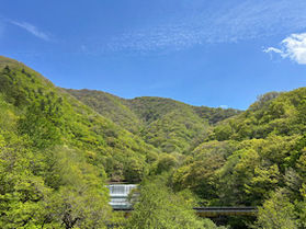 紅葉に負けない景色！<br>新緑の「大峠ダム」