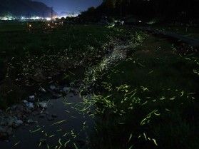 真庭のホタルの里「北房」