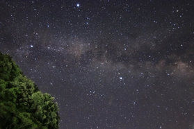 初夏の星々